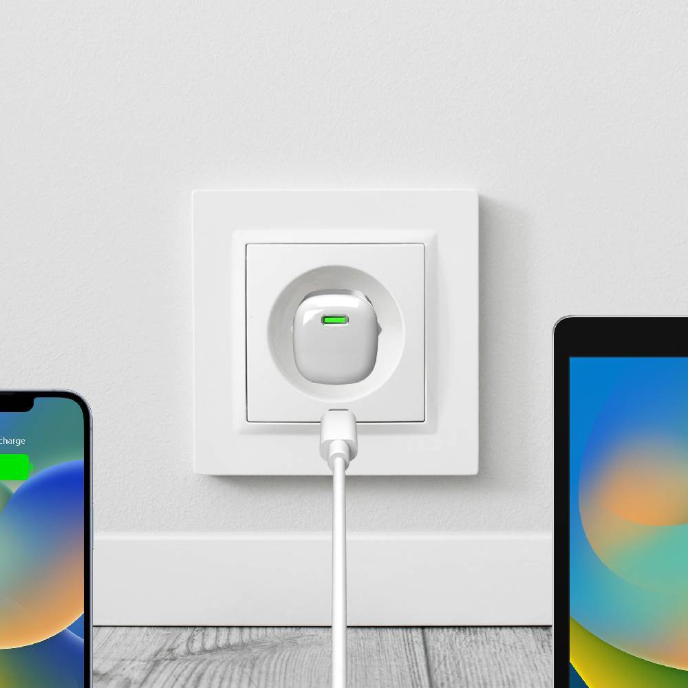 Puro Caricabatterie da parete MiniPro 20W USB-C – tecnologia GAN Affare Del Giorno