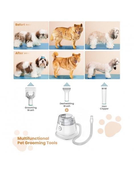 INSE P20 Tagliacapelli 5 in 1 per cani aspiratore tagliacapelli per animali domestici Sottocosto