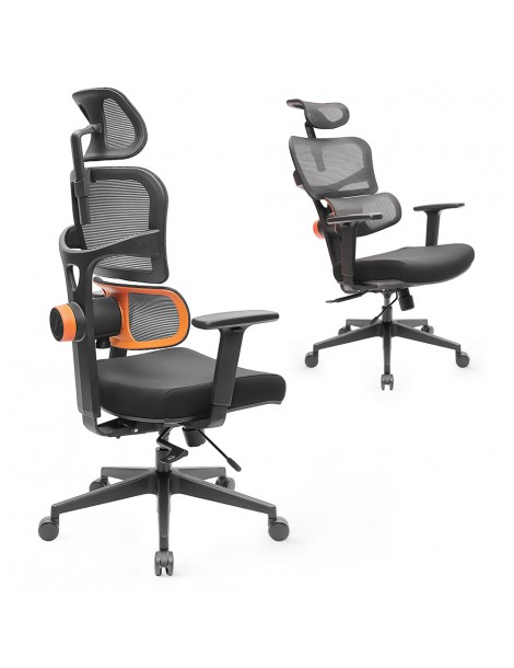 NEWTRAL Sedia Standard NT001 Sedia ergonomica adattiva con supporto per la parte bassa della schiena Promozione