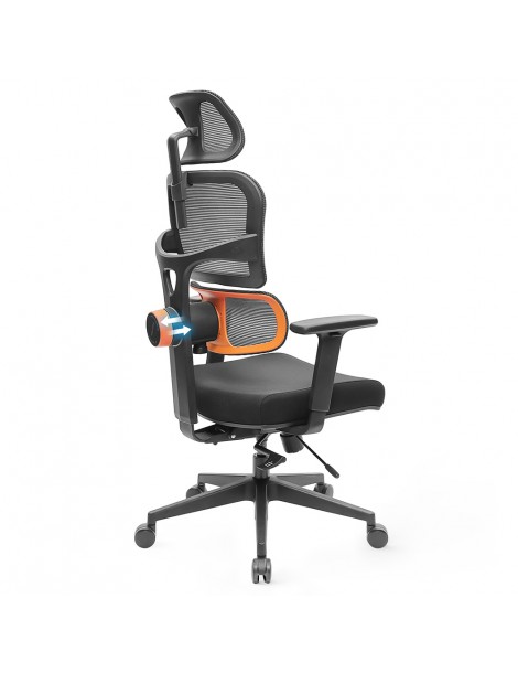 NEWTRAL Sedia Standard NT001 Sedia ergonomica adattiva con supporto per la parte bassa della schiena Promozione