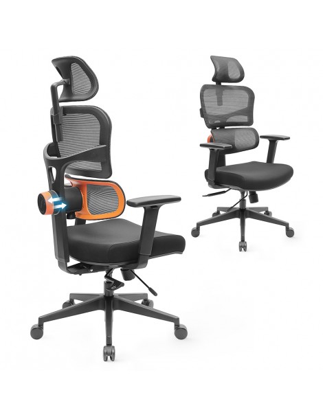NEWTRAL Sedia Standard NT001 Sedia ergonomica adattiva con supporto per la parte bassa della schiena Promozione
