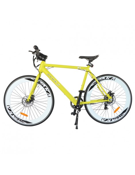 AVAKA R1 Bicicletta elettrica 250W Motore Batteria 9Ah- Verde In Linea