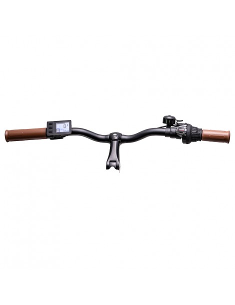 Bezior M2 Pro Ciclomotore elettrico 500W Motore 12.5Ah Batteria- Nero Pezzi Unici