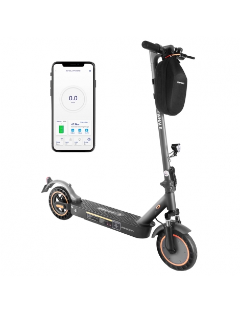 HONEYWHALE E9 MAX con omologazione stradale (ABE) scooter elettrico pieghevole con motore da 500W batteria da 36V 10Ah Sconto