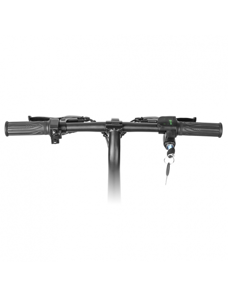 LAIFOOK Dolphin Bici Elettrica Pieghevole Motore 250W Batteria 36V 7.8AH Pneumatico 14 pollici - Nero Offerte