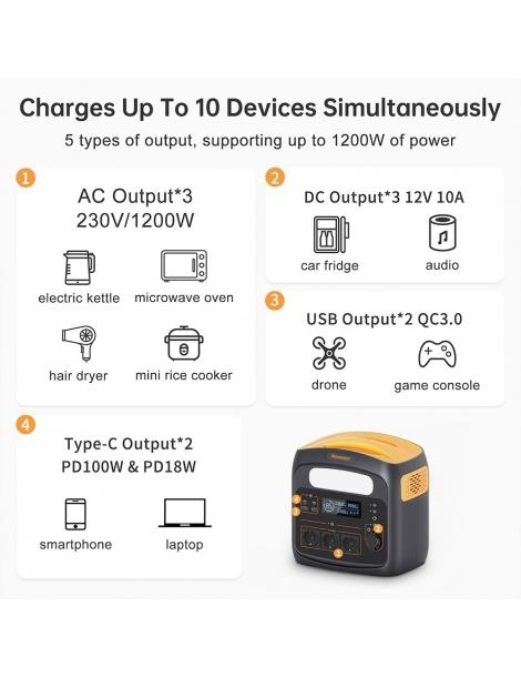 Newsmy N1200 Stazione di alimentazione portatile batterie LiFePO4 da 921Wh In Vendita