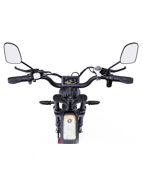 Ridstar Q20 Pro Off-road bicicletta elettrica doppia 1000W motore 52V 20AH doppia batteria Nuovo