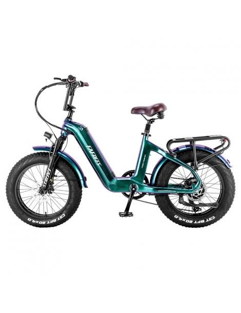 FAFREES F20 Master E-bike 20*4.0 pollici pneumatico 500W trazione posteriore 25km/h velocità massima-Verde Pezzi Unici