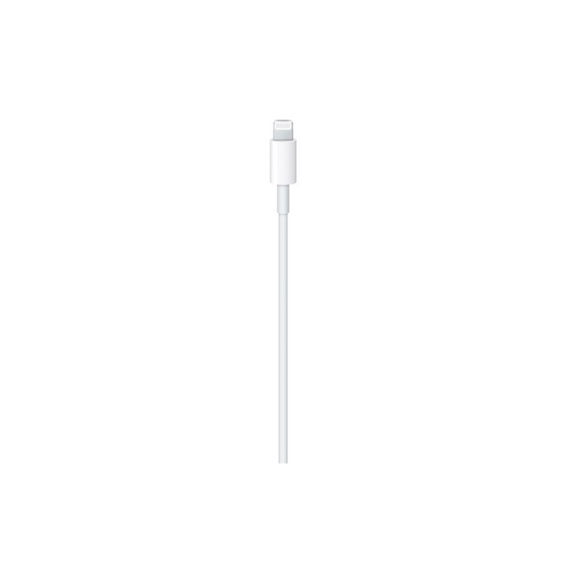 APPLE Cavo Apple Lightning a USB-C Novità