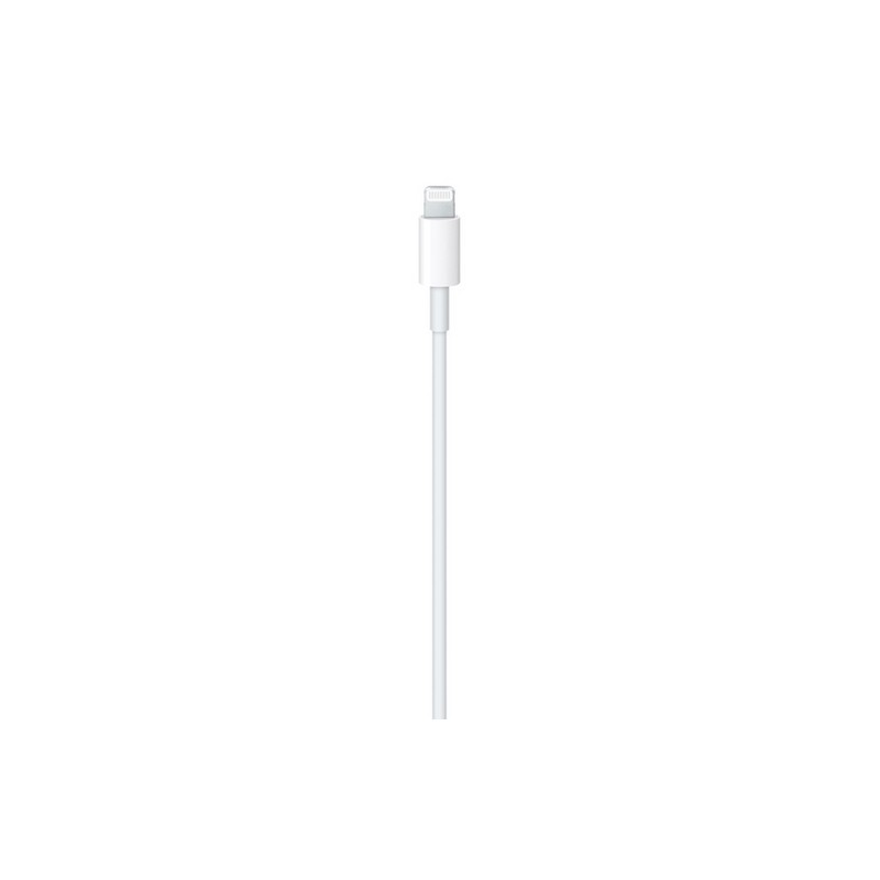 APPLE CAVO APPLE LIGHTNING USB-C Italia
