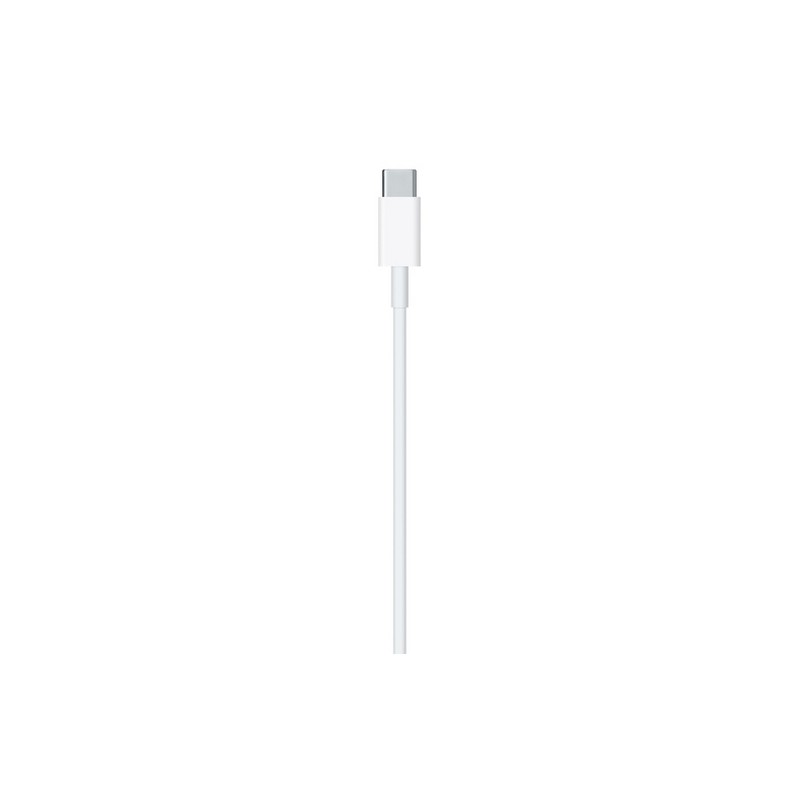 APPLE CAVO APPLE LIGHTNING USB-C Italia